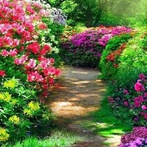 Meet your Posher, Neftali